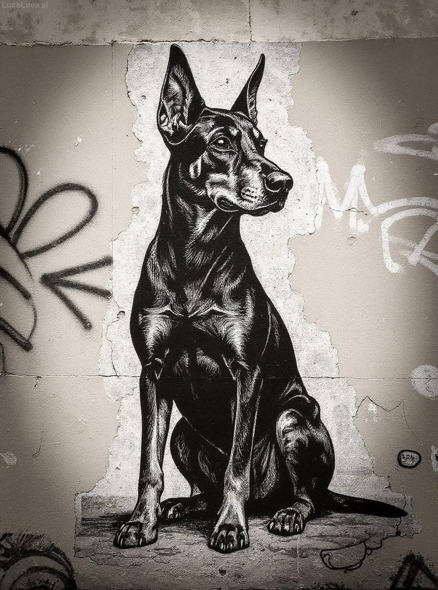 Doberman Pinscher dog as a monochrome street art mural on a weathered urban wall