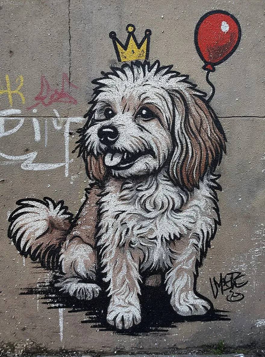 Havanese dog as stencil graffiti street art on a concrete wall