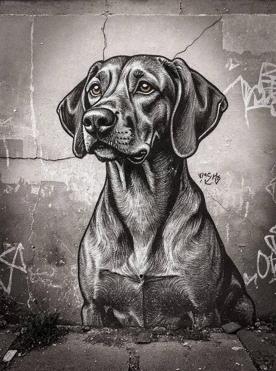 Vizsla dog as a monochrome street art mural on a weathered urban wall