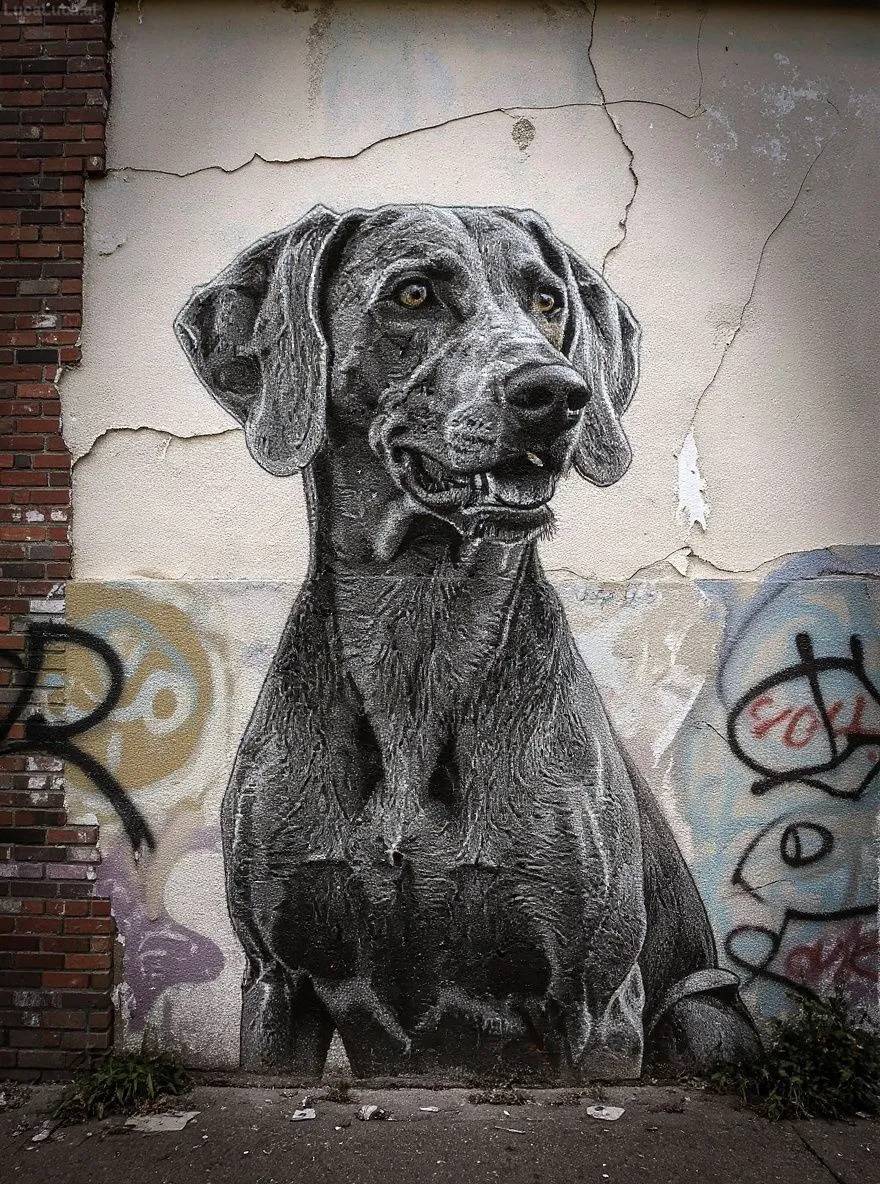 Weimaraner dog as a monochrome street art mural on a weathered urban wall