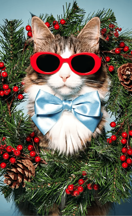 Natural woodland Christmas with holly berries and fresh pine branches.