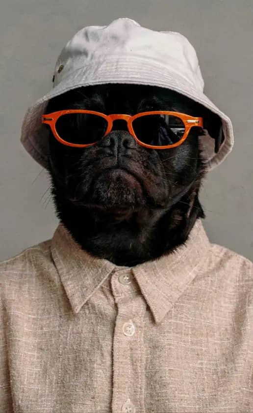 Desert Studio style in the fashion theme.