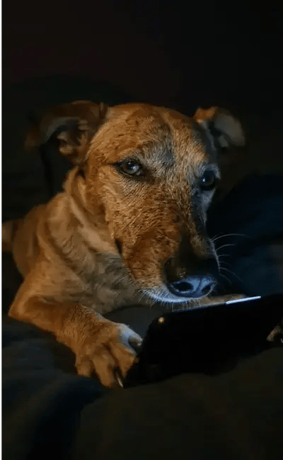 Doomscrolling filter example