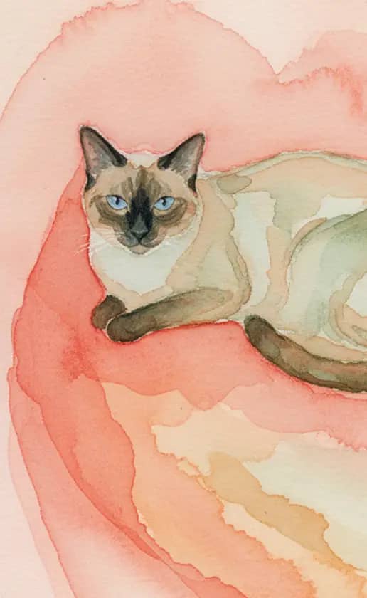 Watercolor Splash Flow style in the watercolor theme.