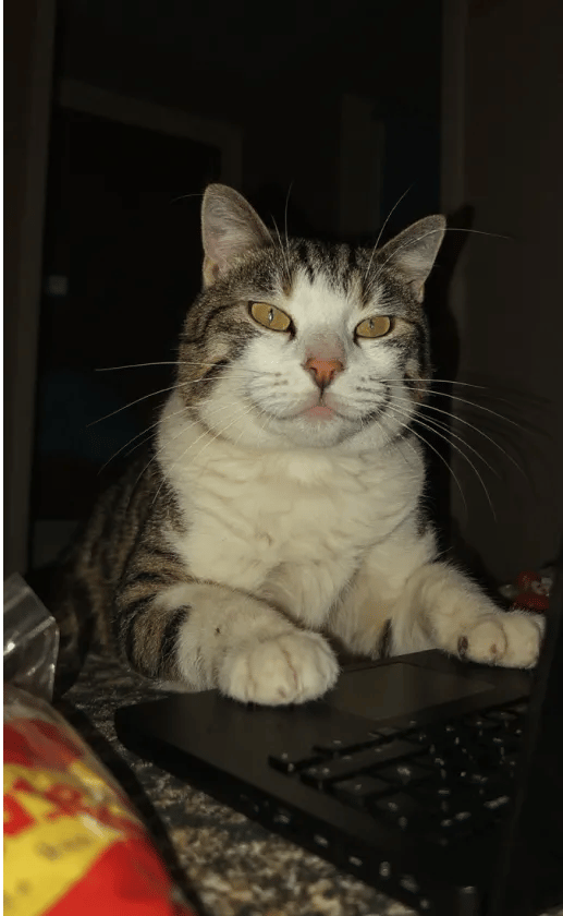 Nightshift style in the everyday life theme.