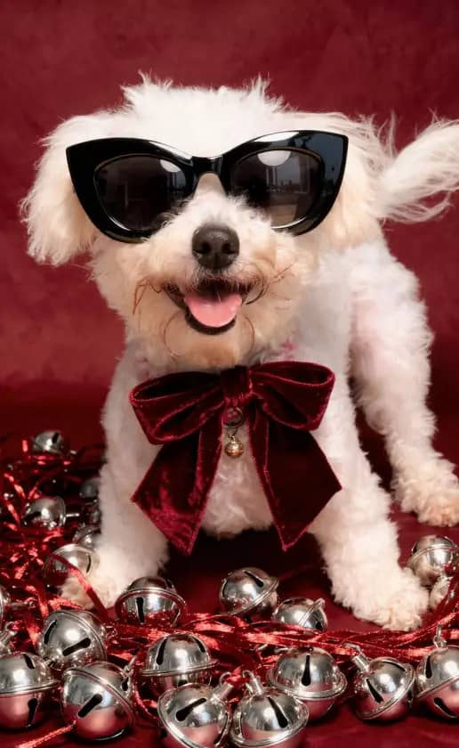 Shimmering silver bells and elegant metallic accents for a glamorous look.