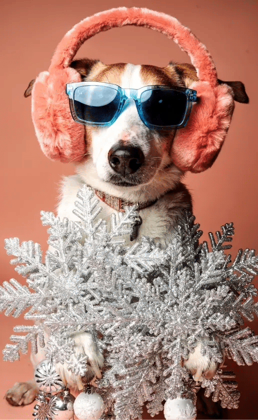 A magical winter wonderland with glistening snowflakes and frosty vibes.