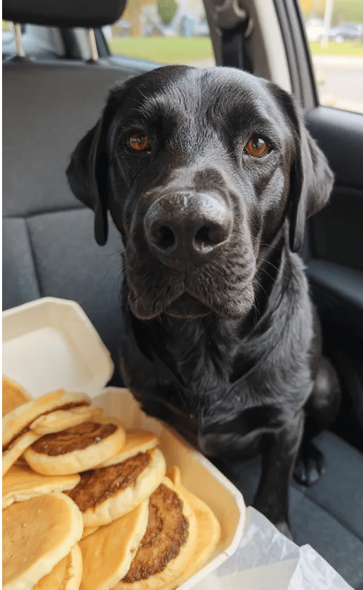 Takeout Treats style in the everyday life theme.